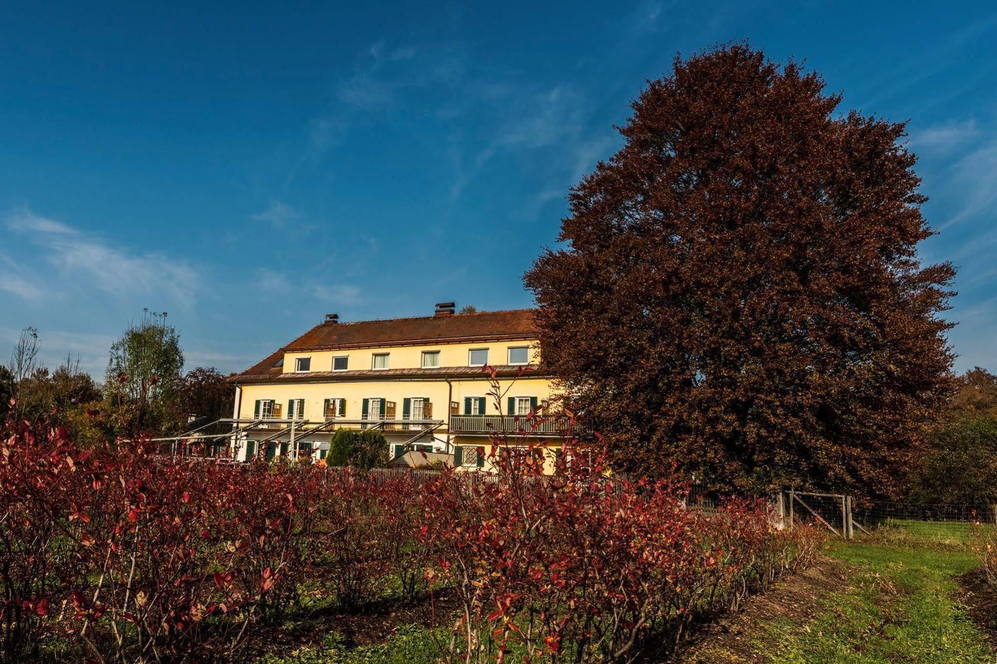Villa Flora Anif Exterior foto